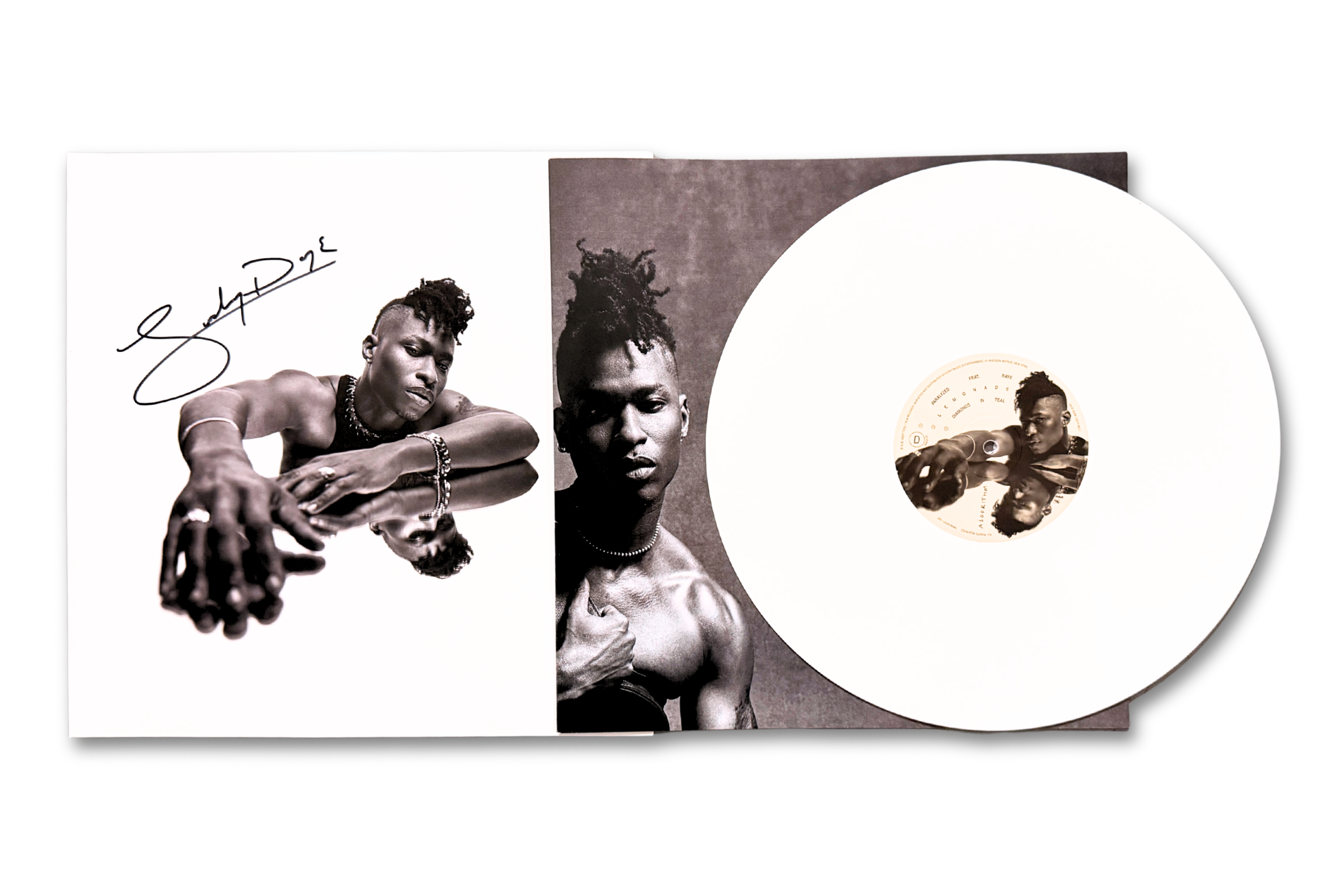 Algorithm - Signed Vinyl