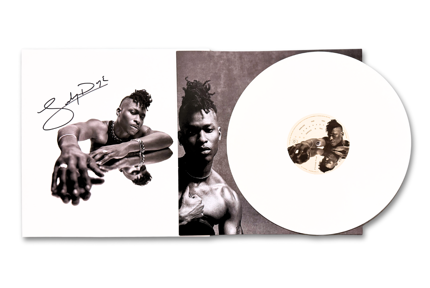 Algorithm - Signed Vinyl